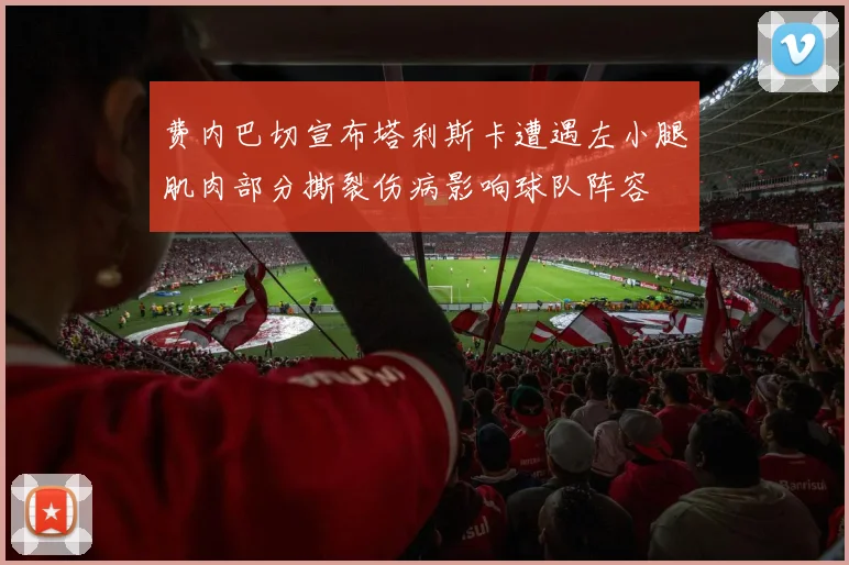 费内巴切宣布塔利斯卡遭遇左小腿肌肉部分撕裂伤病影响球队阵容