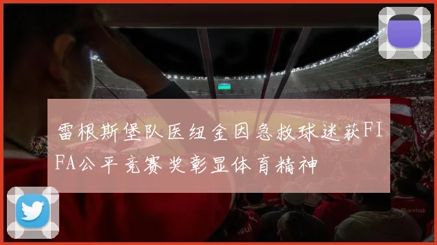 雷根斯堡队医纽金因急救球迷获FIFA公平竞赛奖彰显体育精神