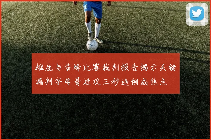 雄鹿与黄蜂比赛裁判报告揭示关键漏判字母哥进攻三秒违例成焦点