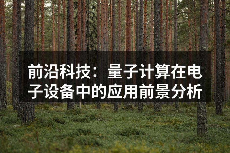 前沿科技：量子计算在电子设备中的应用前景分析